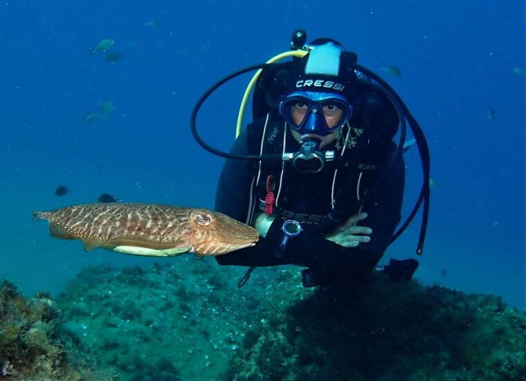 Puerto Del Carmen: Try Scuba Diving With 2 Dives and Photos - Dive Experience Details