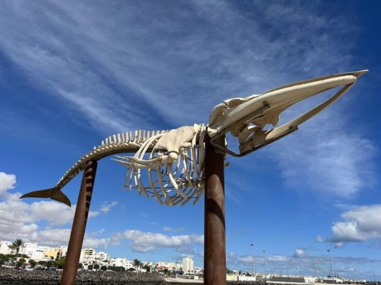 Puerto Del Rosario: Private City Tour - Highlights and Attractions