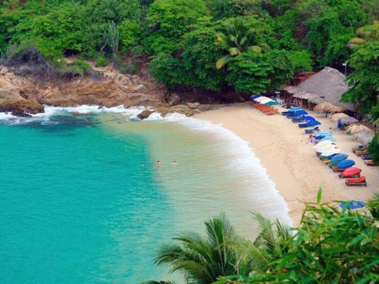 Puerto Escondido: Boat Cruise and Market Visit - Activity Details