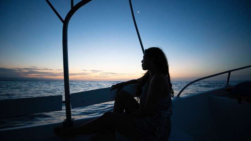 Puerto Escondido: Boat Tour among Dolphins and Turtles - Setting the Scene: What to Expect on the Tour