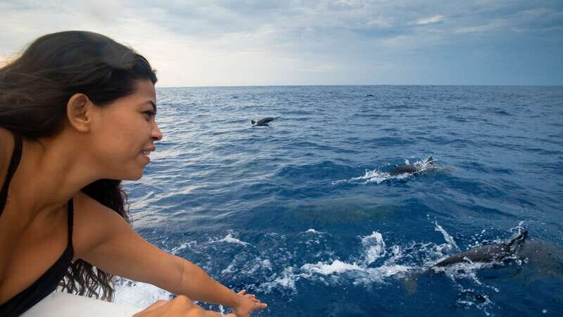 Puerto Escondido: Boat Tour among Dolphins and Turtles - The Practical Details: What You Need to Know