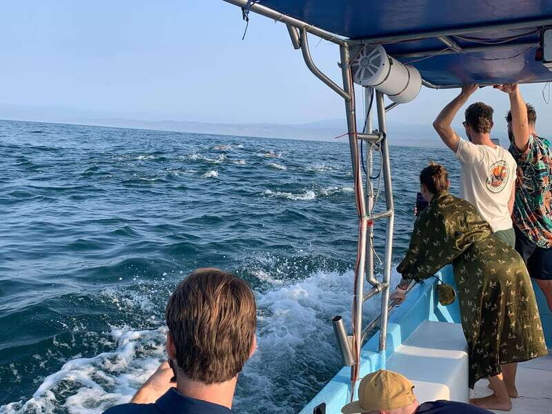 Puerto Escondido: Boat Tour to see Dolphins and Marine Life - Good To Know