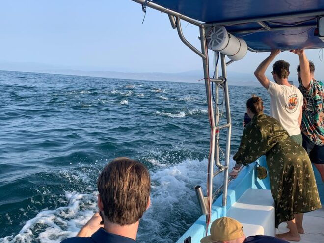Puerto Escondido: Boat Tour to Swim With Dolphins & Turtles - Guided Tour With Bilingual Experts