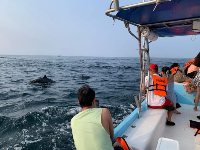 Puerto Escondido: Boat Tour to Swim With Dolphins & Turtles - Restrictions and Considerations for Travelers
