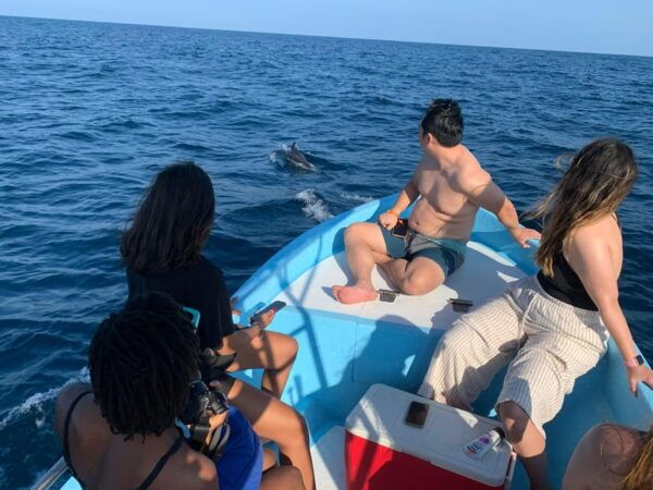 Puerto Escondido: Boat Tour to Swim With Dolphins & Turtles - Positive Traveler Feedback and Ratings