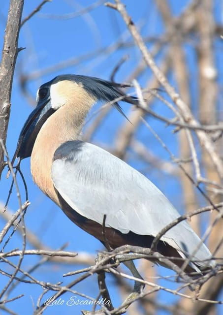 Puerto Escondido: Chacahua Lagoon Day Trip Bird Watching - Tour Logistics