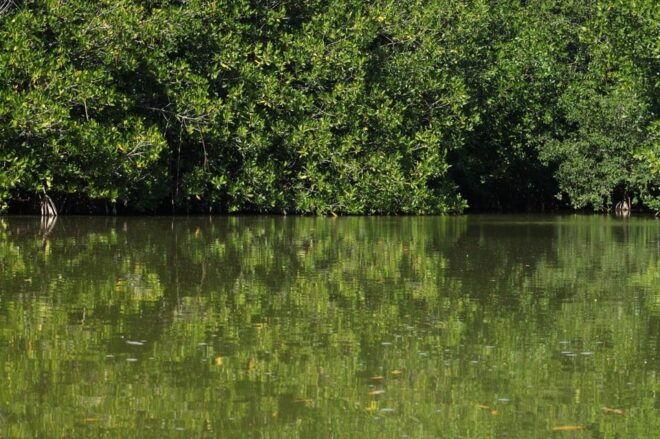 Puerto Escondido: Day Trip to Chacahua National Park - Important Information