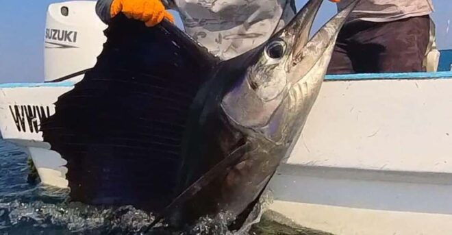 Puerto Escondido: Fishing and Eating Experience - Logistics and Comfort