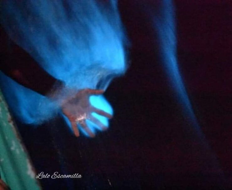 Puerto Escondido: Manialtepec Lagoon Bioluminescence Tour - Good To Know