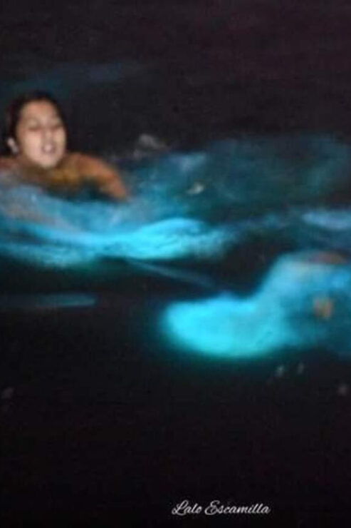 Puerto Escondido: Manialtepec Lagoon Bioluminescence Tour - Booking Information