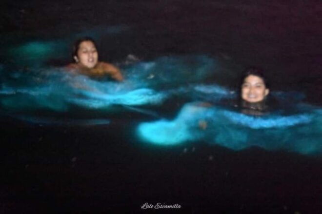 Puerto Escondido: Manialtepec Lagoon Bioluminescence Tour - Tour Experience