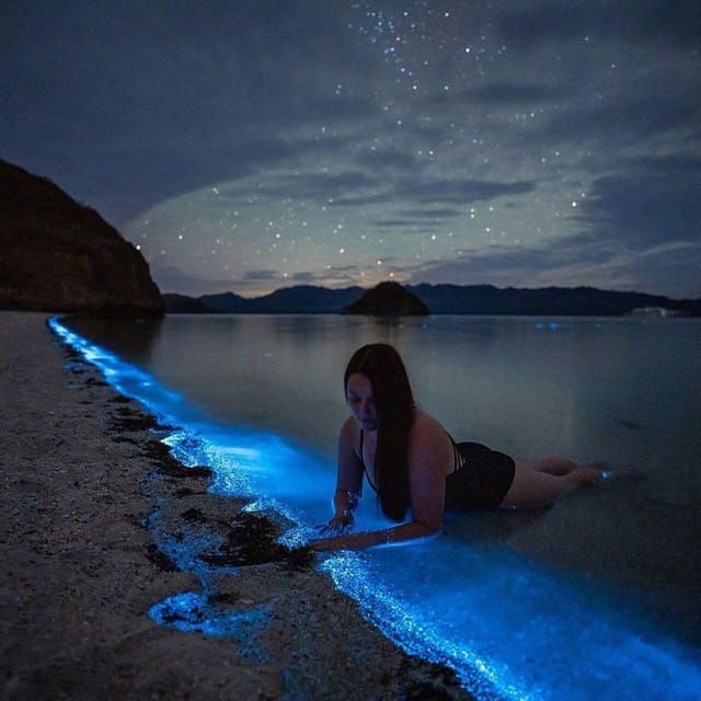 Puerto Escondido: Manialtepec Lagoon Bioluminescence Tour - Inclusions