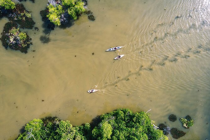 Puerto Escondido: Manialtepec Lagoon by Kayak - Additional Details