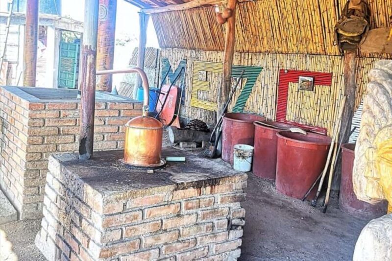 Puerto Escondido: Mezcal, Coffee, and Pedal Loom Factory - Good To Know