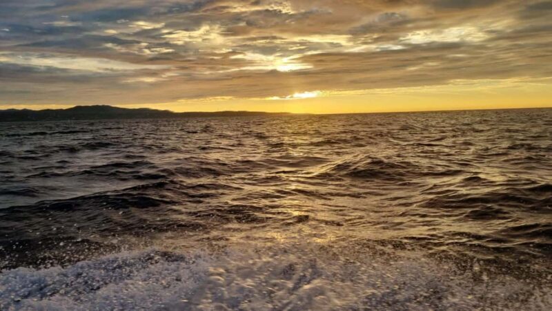 Puerto Escondido: The Best Adventure for Dolphin Watching - An In-Depth Look at the Dolphin Watching Tour