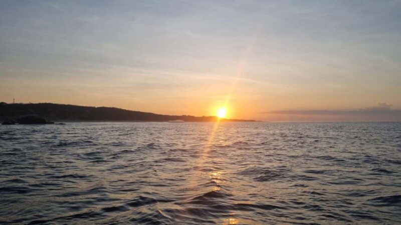 Puerto Escondido: The Best Adventure for Dolphin Watching - Final Thoughts