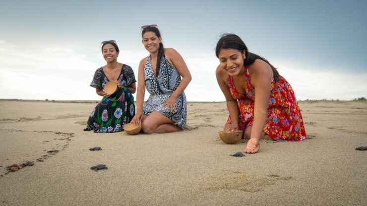 Puerto Escondido: Turtle Release and Bioluminescent Plankton - Activity Highlights