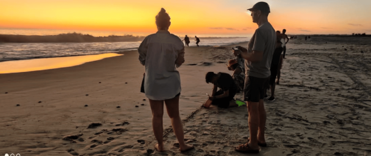 Puerto Escondido: Turtle Release Experience - Experience Highlights