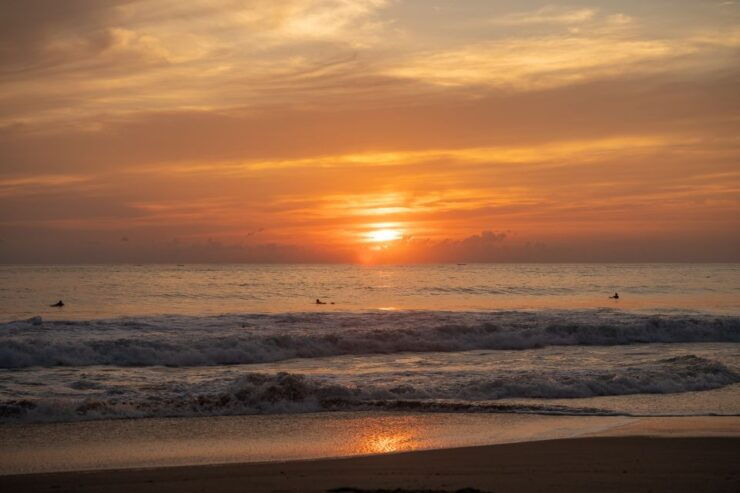 Puerto Escondido: Turtle Release Experience - Activity Details