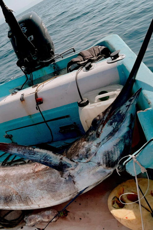 Puerto: Fishing Experience Marlin, Sailfish, Tuna or Dorado - Good To Know