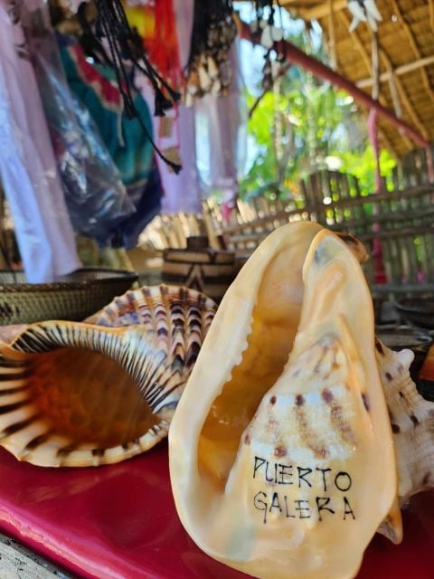Puerto Galera 1 Day Beach Experience - Activity Details