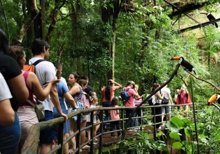 Puerto Iguazu: Iguaza Falls Brazilian Side & Bird Park Tour - Activity Details
