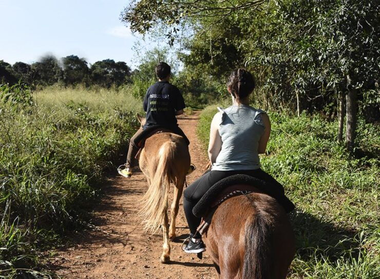 Puerto Iguazu: Jungle Horseback Ride With Guaraní Community - Good To Know