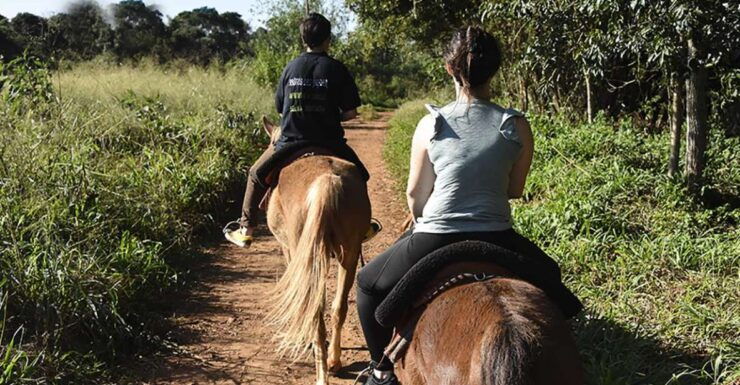 Puerto Iguazu: Jungle Horseback Ride With Guaraní Community - Pickup Information