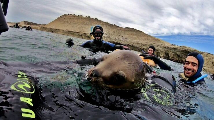 Puerto Madryn: 3-Hour Snorkeling Trip With Sea Lions - Booking Details