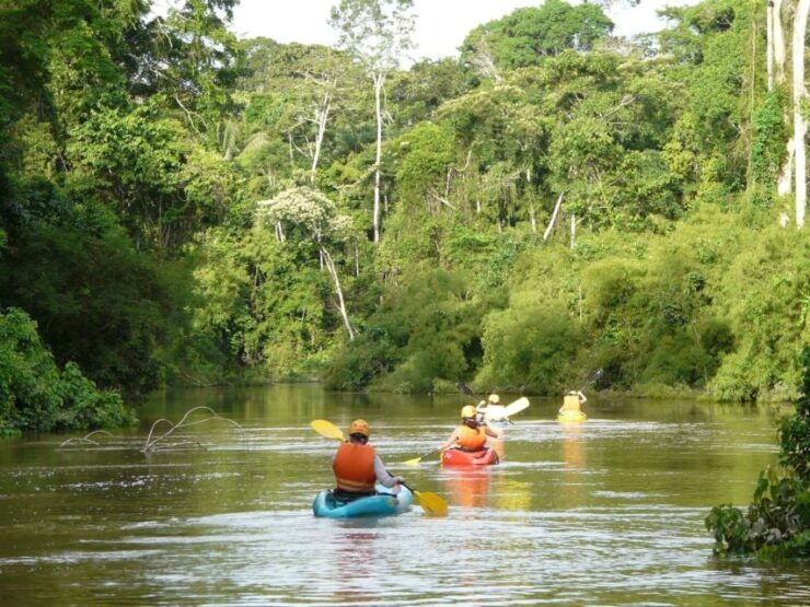 Puerto Maldonado: Kayak and Zip Line Adventure Monkey Isla - Experience Highlights