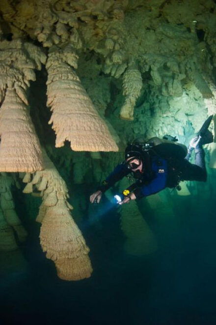 Puerto Morelo: Cenote Diving - What to Bring