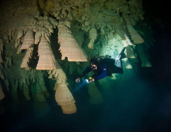 Puerto Morelo: Cenote Diving - Frequently Asked Questions