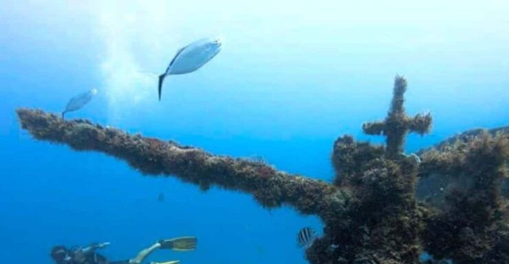 Puerto Morelos: C-56 Shipwreck & Reef Exploration - Diving Experience