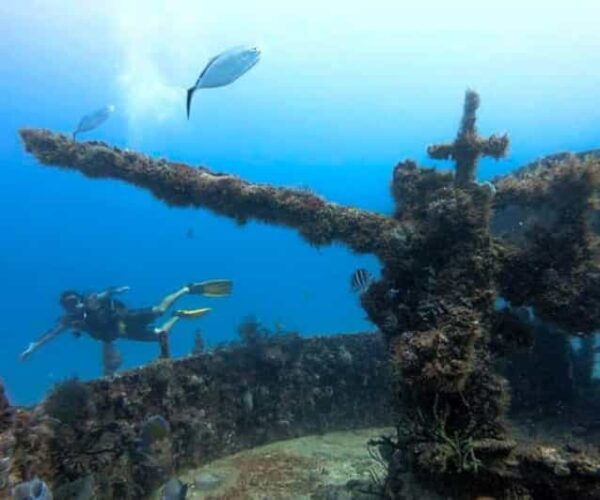 Puerto Morelos: C-56 Shipwreck & Reef Exploration - Transportation and Services