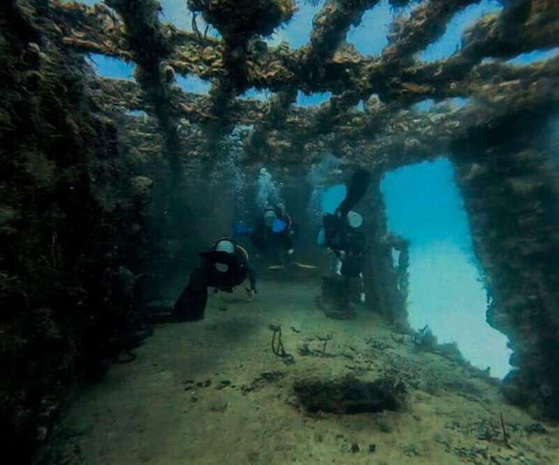 Puerto Morelos: C-56 Shipwreck & Reef for Certified Divers - Good To Know