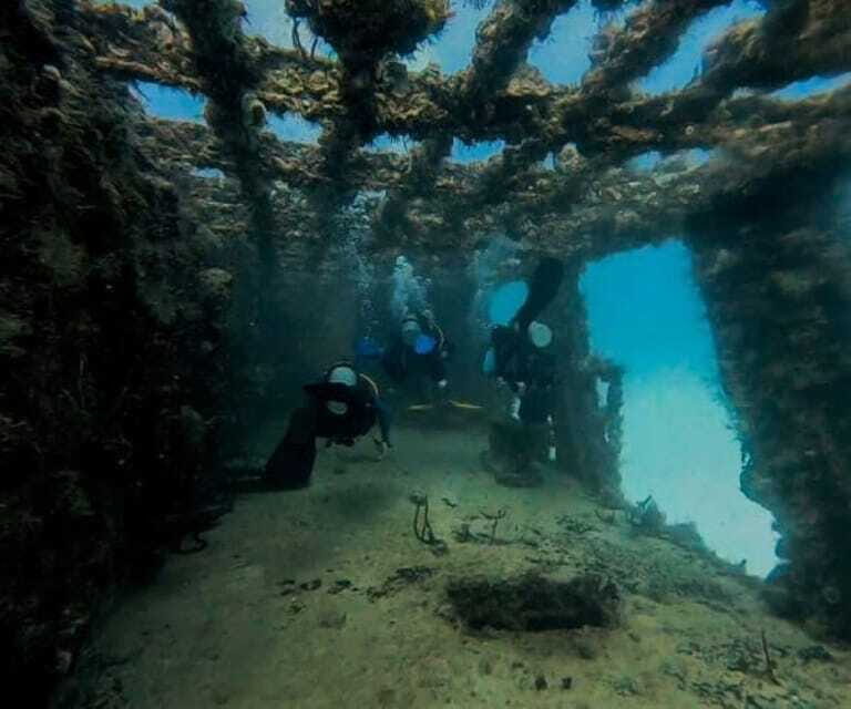 Puerto Morelos: C-56 Shipwreck & Reef for Certified Divers - Who Will Love This Tour?