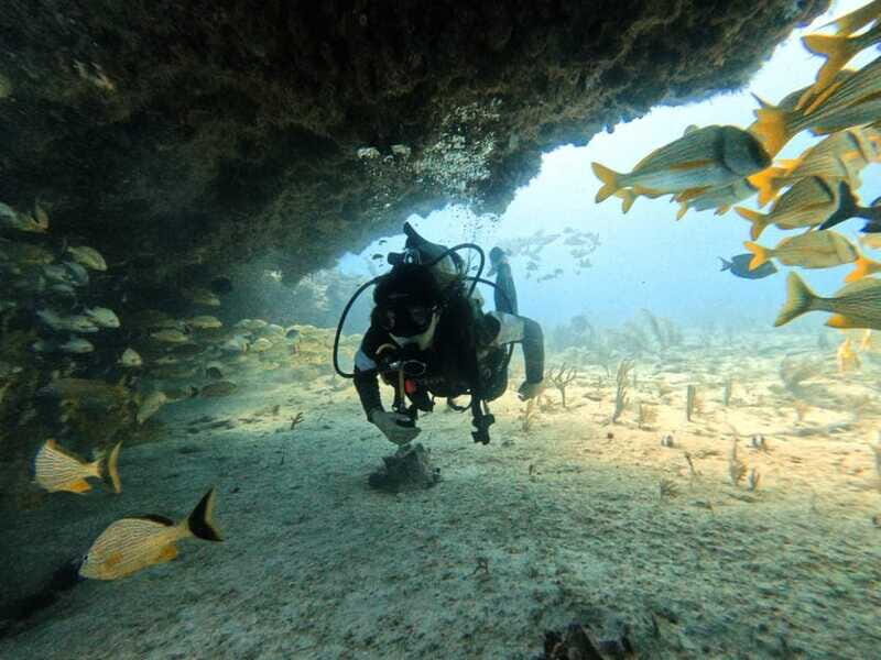 Puerto Morelos: C-56 Shipwreck & Reef for Certified Divers - Final Thoughts