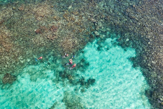 Puerto Morelos Catamaran Reef Sail and Snorkel - Pricing and Booking Process