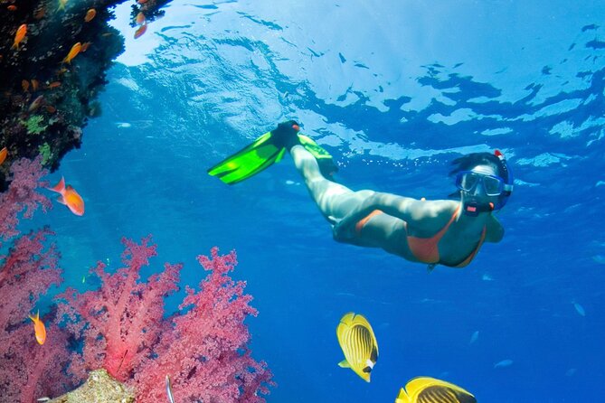 Puerto Morelos Catamaran Reef Sail and Snorkel - Tour Details and Inclusions