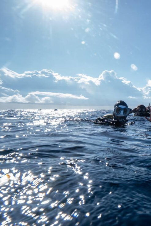Puerto Morelos: Diver Certification - Rescue Diver Certification