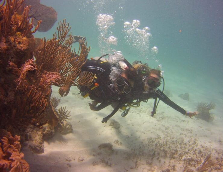 Puerto Morelos: Diving at Puerto Morelos Reef - Booking Information