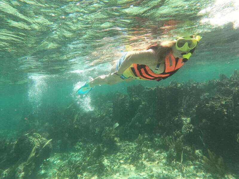 Puerto Morelos: Guided Snorkeling Tour with Gear & Fees - Good To Know