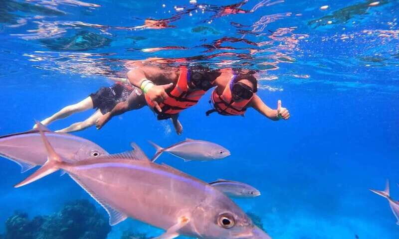 Puerto Morelos: Guided Snorkeling Tour with Gear & Fees - Why This Tour Works for You