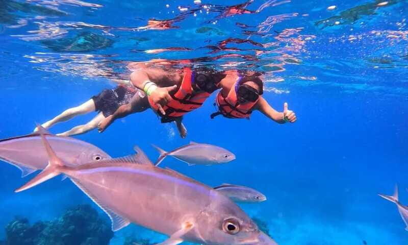 Puerto Morelos: Guided Snorkeling Tour with Gear & Fees - FAQs