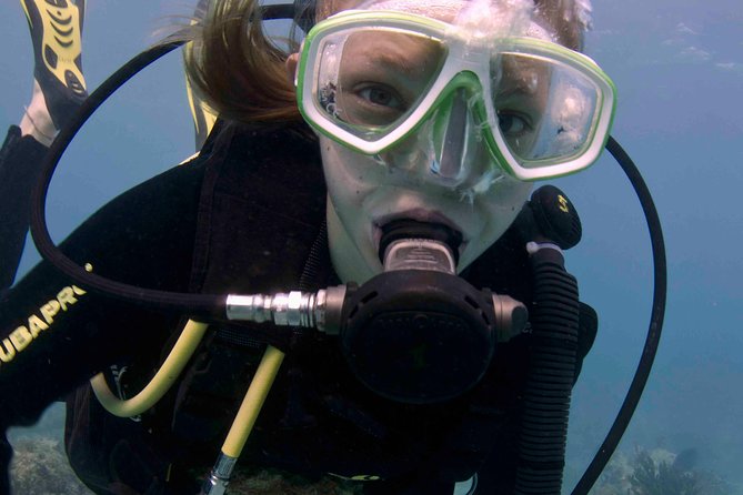 Puerto Morelos Half-Day Beginner Scuba Diving  - Cancun - Inclusions and Optional Services