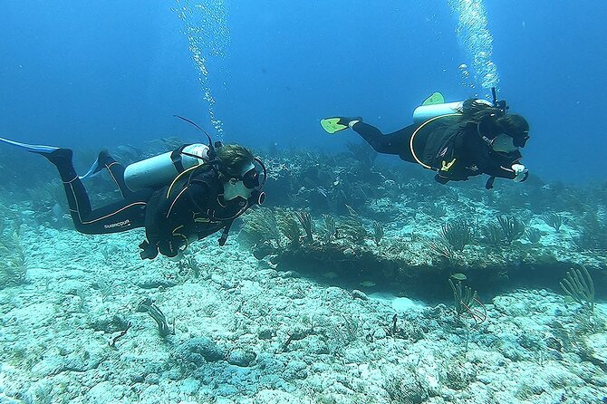 Puerto Morelos Reef National Park 2-Tank Scuba Dive  - Cancun - Physical Fitness Level