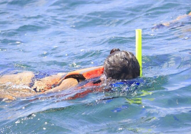 Puerto Morelos: Reef Snorkeling Adventure With Transport - Transportation and Meeting Points