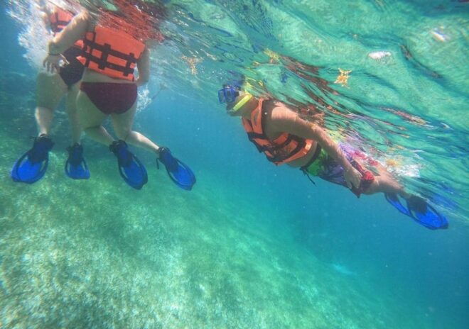 Puerto Morelos: Reef Snorkeling Adventure With Transport - Marine Life and Coral Formations