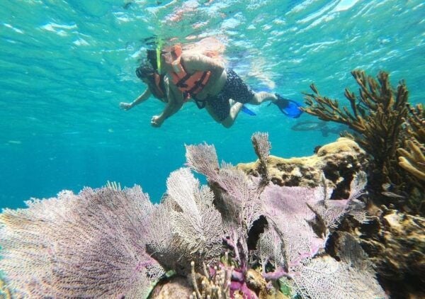 Puerto Morelos: Reef Snorkeling Adventure With Transport - Puerto Morelos Village