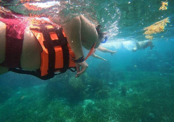 Puerto Morelos: Reef Snorkeling Adventure With Transport - Frequently Asked Questions